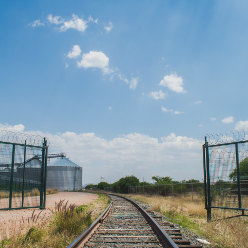 20200403 - CercatexFoto100