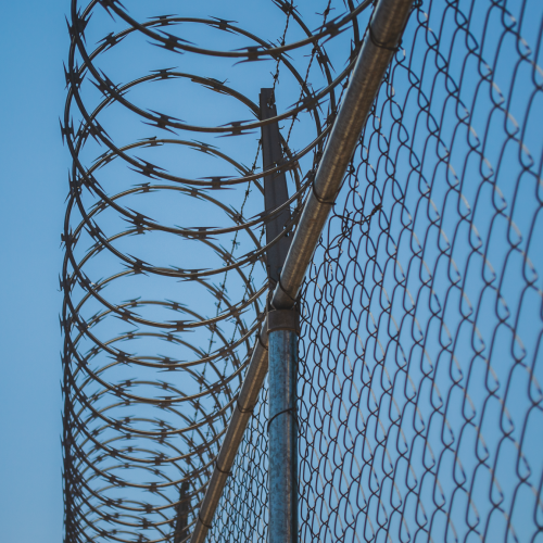 20200403 - CercatexFoto27