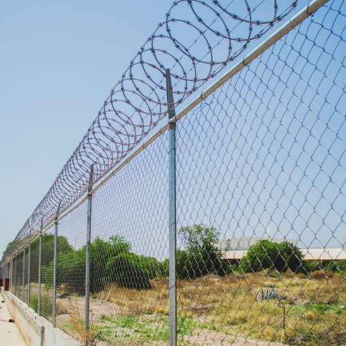 20200403 - CercatexFoto28