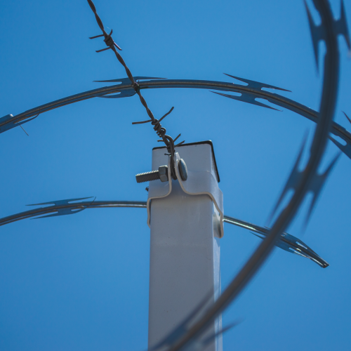 20200403 - CercatexFoto35 20200403 - CercatexFoto35