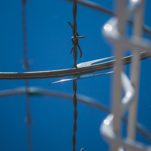 20200403 - CercatexFoto38