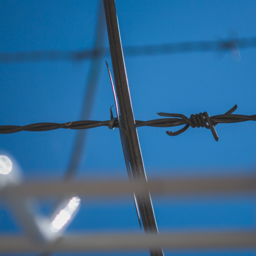 20200403 - CercatexFoto39 20200403 - CercatexFoto39