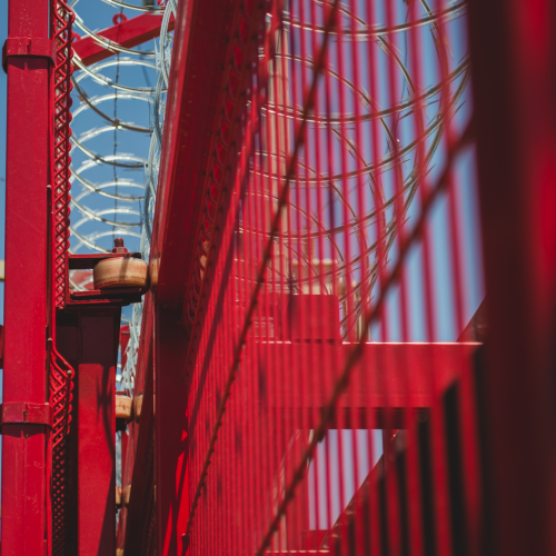 20200403 - CercatexFoto62