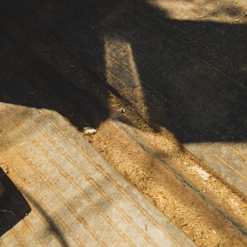 20200403 - CercatexFoto64