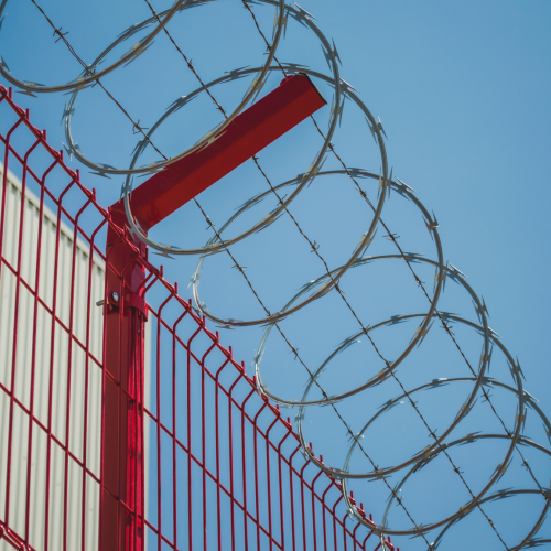 20200403 - CercatexFoto79