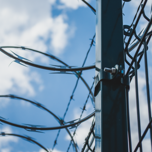 20200403 - CercatexFoto96