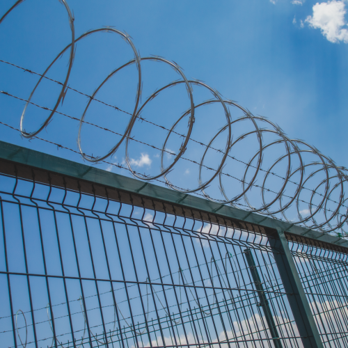 20200403 - CercatexFoto97