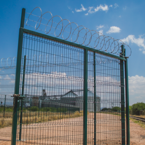 20200403 - CercatexFoto99